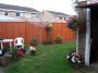 garden (8) * 2032 x 1524 * (944KB)